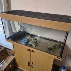 Fish Tank