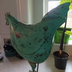 Large Metal Chicken