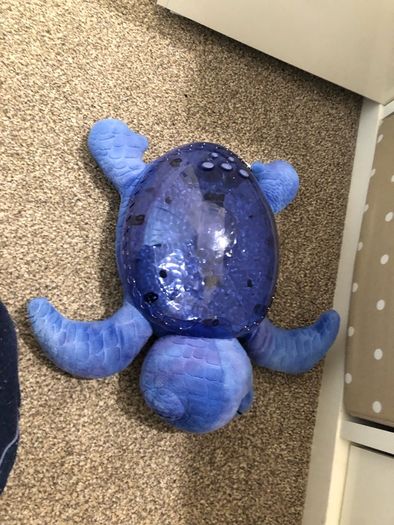 CloudB Tranquil Turtle Rechargeable - Ocean