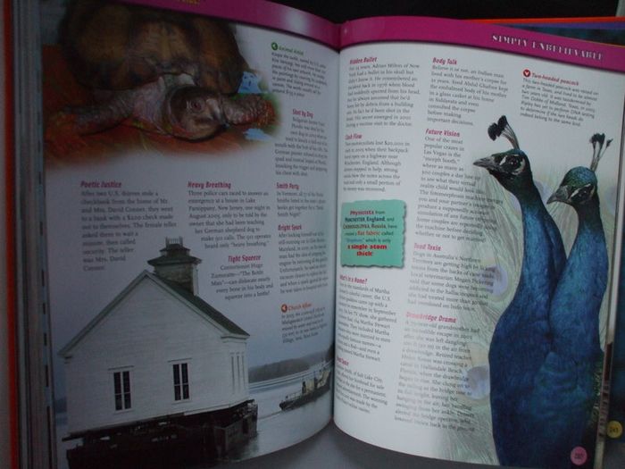 SALE! RIPLEY'S Believe It Or Not! - 2007 Expect ...The Unexpected