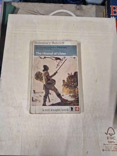 irish history,  politics and interests
