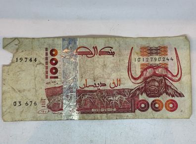 Algeria 1998 1000 Dinars Note