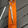 pet grooming Image 5