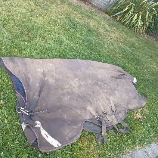 horseware 6"3 amigo 250g