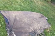 horseware 6"3 amigo 250g