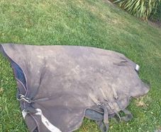 horseware 6"3 amigo 250g