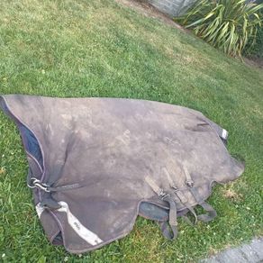 horseware 6"3 amigo 250g