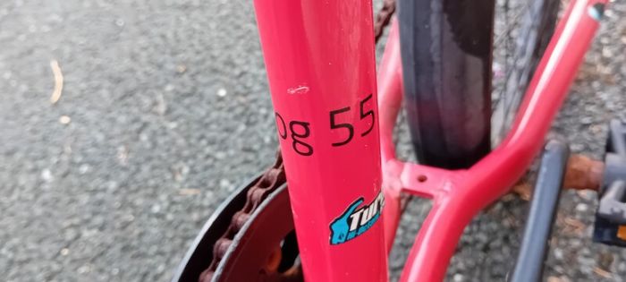 Kids Frog Bike/repair