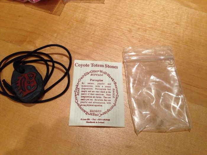 Coyote Totem Energy Stones Necklace