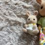 sylvanian Image 3