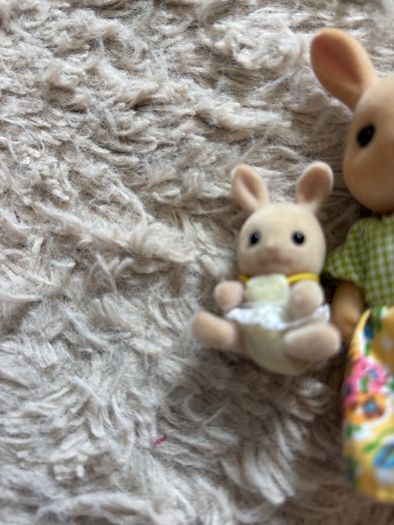 sylvanian