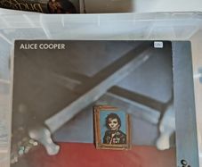 vinyl