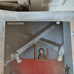 vinyl