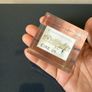 Bank of Ireland Bicentenary Eire 26 Stamp Image 2