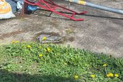 trolly for sale 3