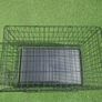 Dog Crate Image 2
