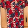 Size 8 Red/ Blue/Cream Floral Dress by Traffic People Image 6