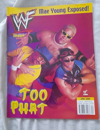 Wwf Magazines 2000