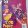 Wwf Magazines 2000 Image 5