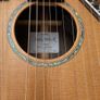 Sedgwick 20-string harp guitar Image 2