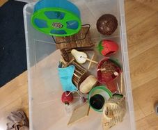 hamster bin cage with accessories