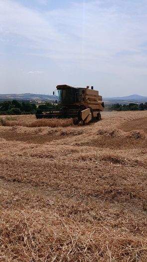 New holland TX 32