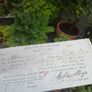 3 Rate Receipts from 1893 - Tully East, Naas Image 2