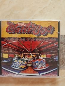 The Waterboys CD  - Room To Roam