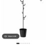 coat and umbrella stand Image 2