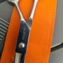 pet grooming Image 6