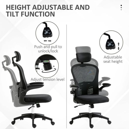 Office Chair Multi Adjustable with Lumbar Support, Headrest