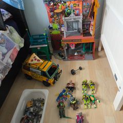 Teenage Mutant Ninja Turtle