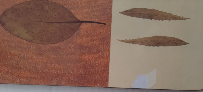 4 new place mats in wrapping