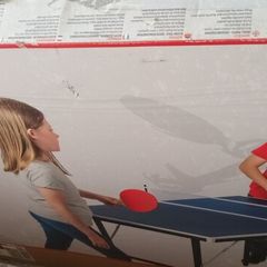 Brand New Folding table tennis set ++
