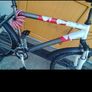 Raleigh mountain bike Image 2