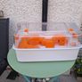 hamster cage Image 2