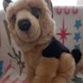 German shepherd ; plush dog (Pr 1779 ) 2 Image 5