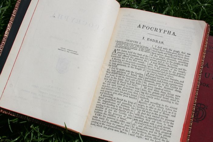 Vintage Books (20 each)