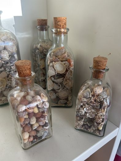 Sea shells in bottles