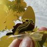 12 pc PVC Gold mirror effect butterfly wall stickers decoration Image 2