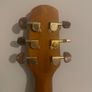 Walden G740CE / w Fishman PU | In Great Condition Image 4