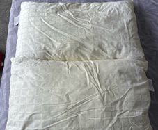 Fine Bedding Company - Breathe Pillow Pair | Like New