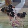 Vintage pieces. Prices to sell and discount on multiple buys. Look at my other ads. Thanks Image 3