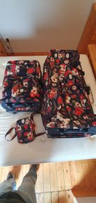 Roxy Luggage Set