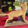 taxidermy Image 3