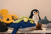 Ocean Animals