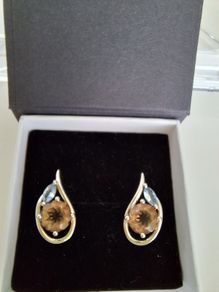 new silver earrings