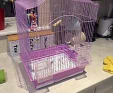 bird cage