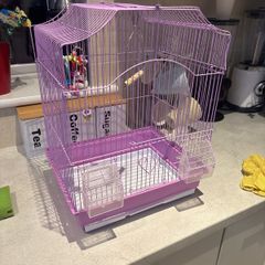 bird cage