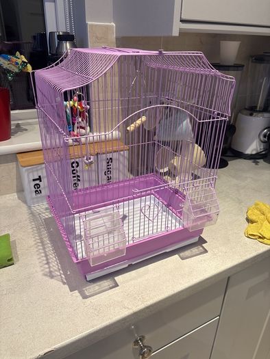 bird cage